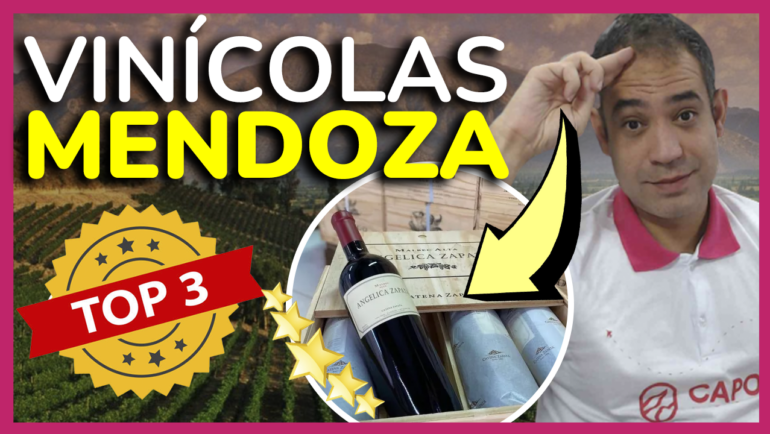 vinicolas mendoza