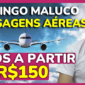 domingomaluco